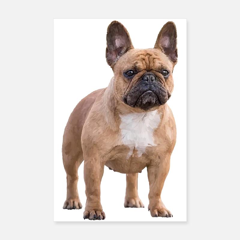 Bouledogue français Poster 20 x 30 cm