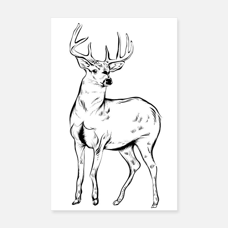 Hirsch Poster 20x30 cm