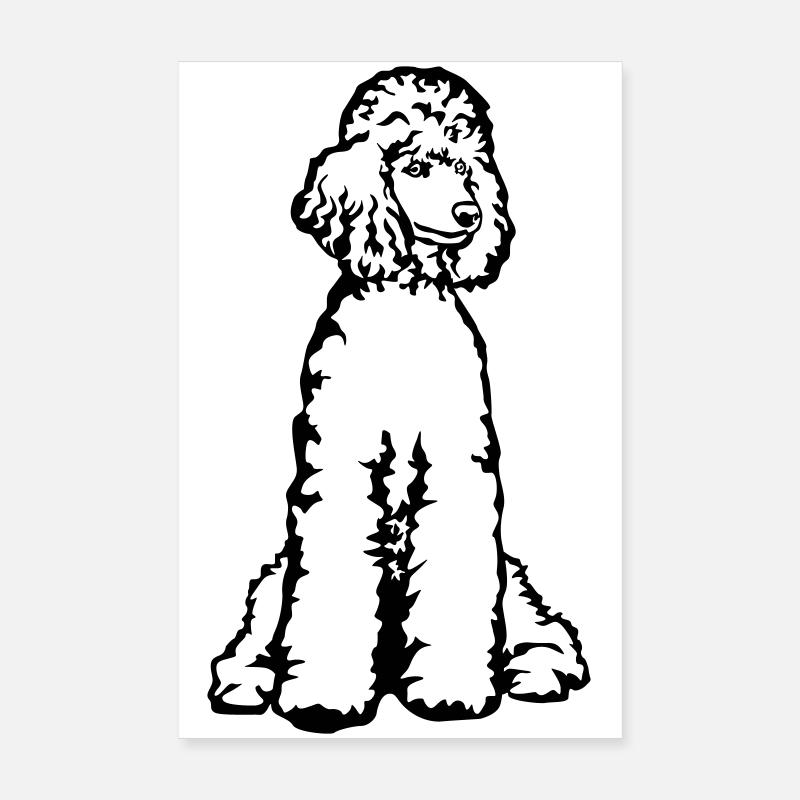 Pudel Poster 20x30 cm