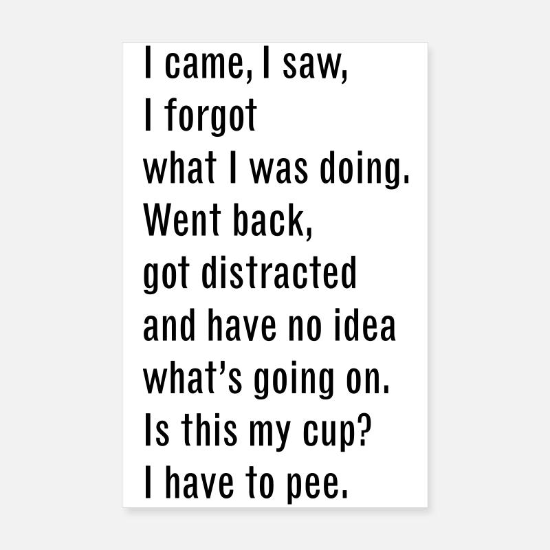 46 I Came I Saw Poster 8" x 12" (20x30 cm)