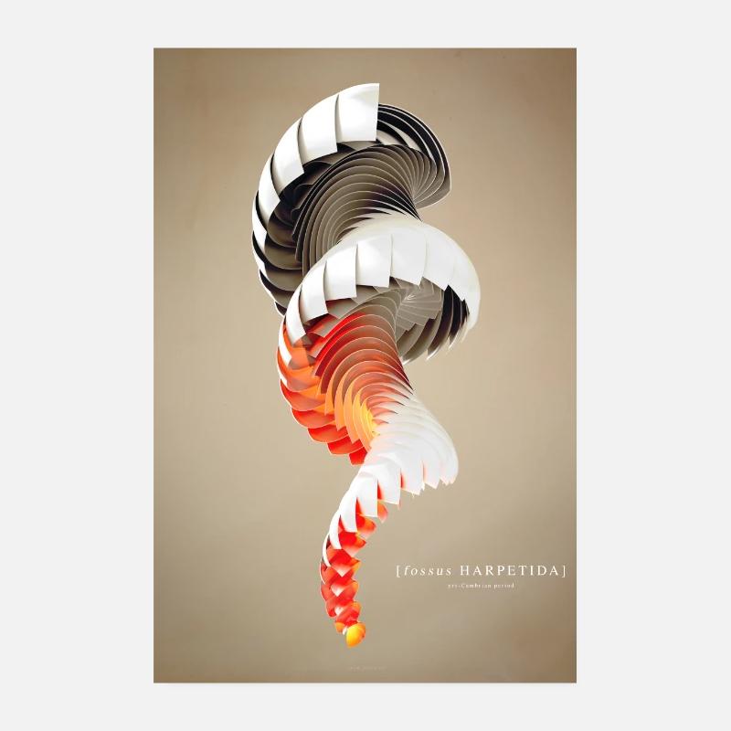 Shell zwei - Poster 20x30 cm - Weiß