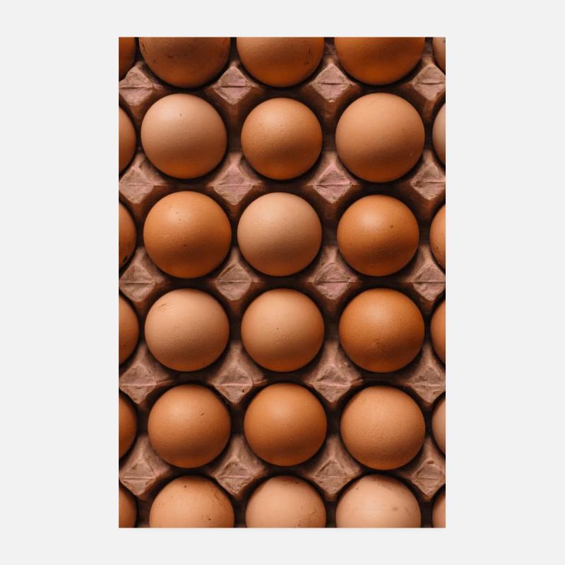 Eggs chicken eggs in egg carton Poster 8" x 12" (20x30 cm)