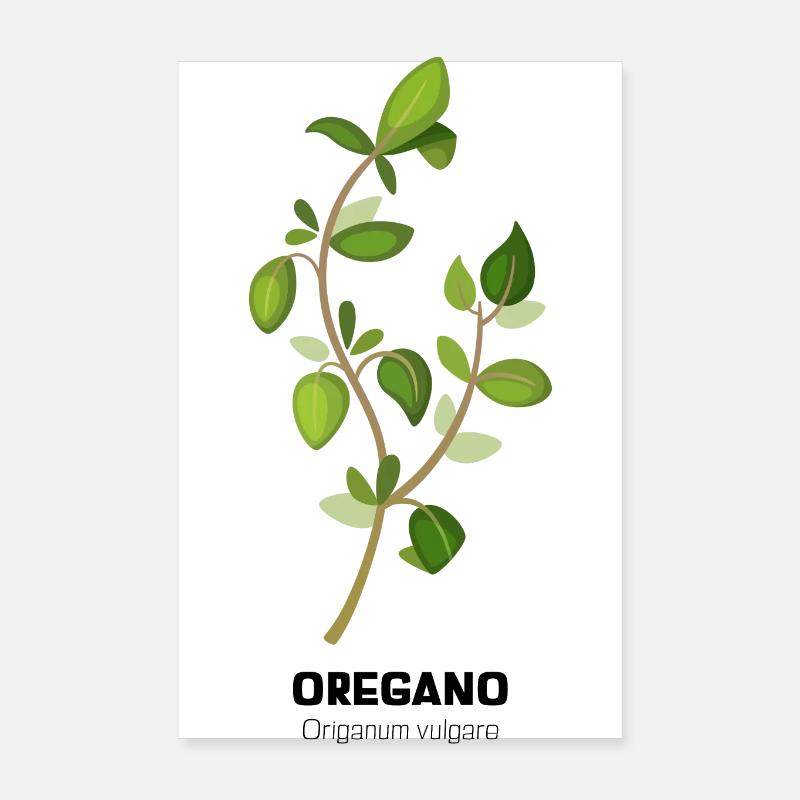 Oregano kitchen herbs Poster 8" x 12" (20x30 cm)