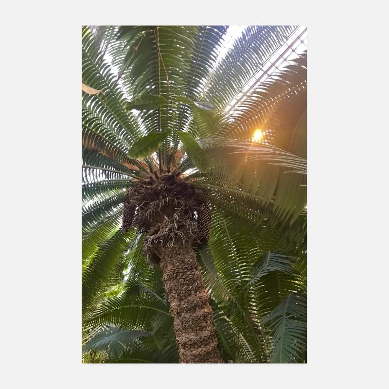 Date palm Poster 8" x 12" (20x30 cm)