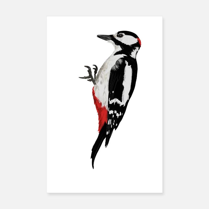 Specht Poster 20x30 cm