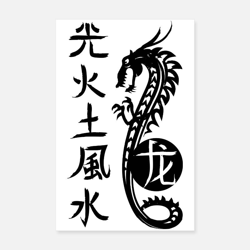 Dragon, lumière, feu, terre, eau, vent Poster 20 x 30 cm