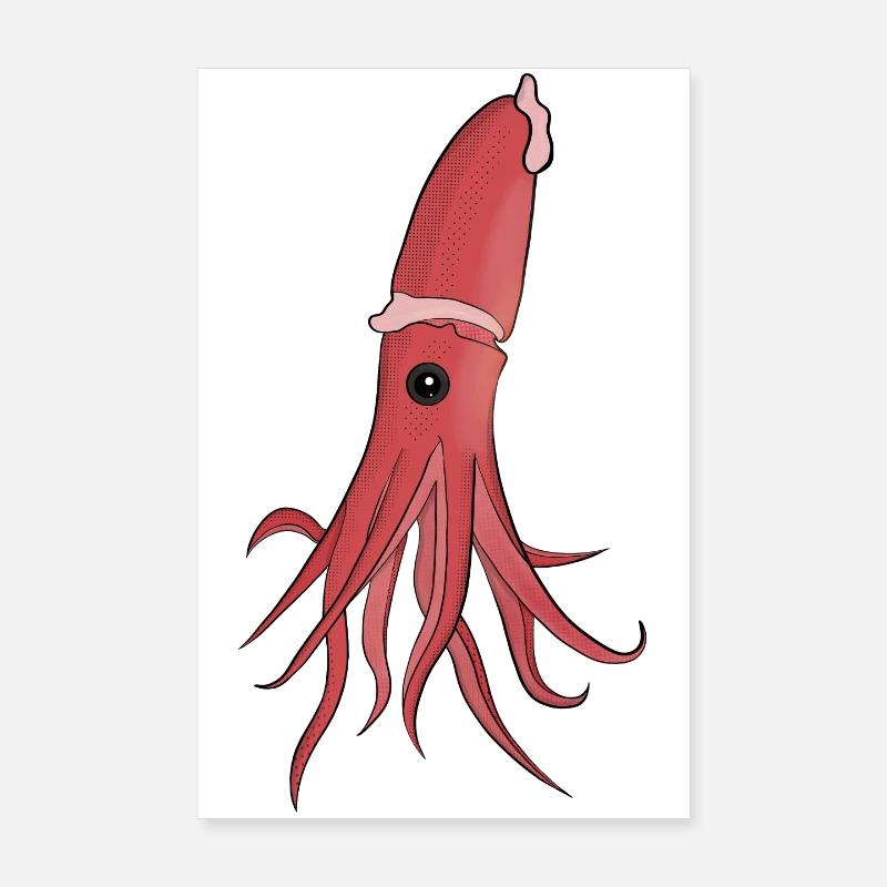 Créatures marines Un beau calmar Poster 20 x 30 cm