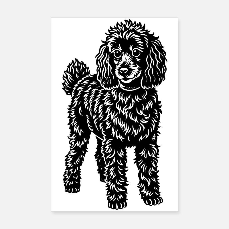 caniche Poster 20 x 30 cm