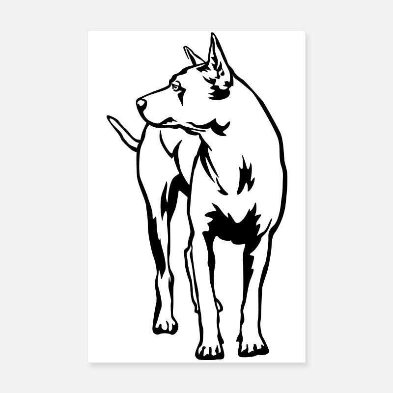 Thaï Ridgeback Poster 20 x 30 cm