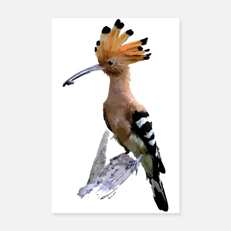 Extravaganter Wiedehopf mit orangefarbenem Gefieder - Poster 20x30 cm - Weiß