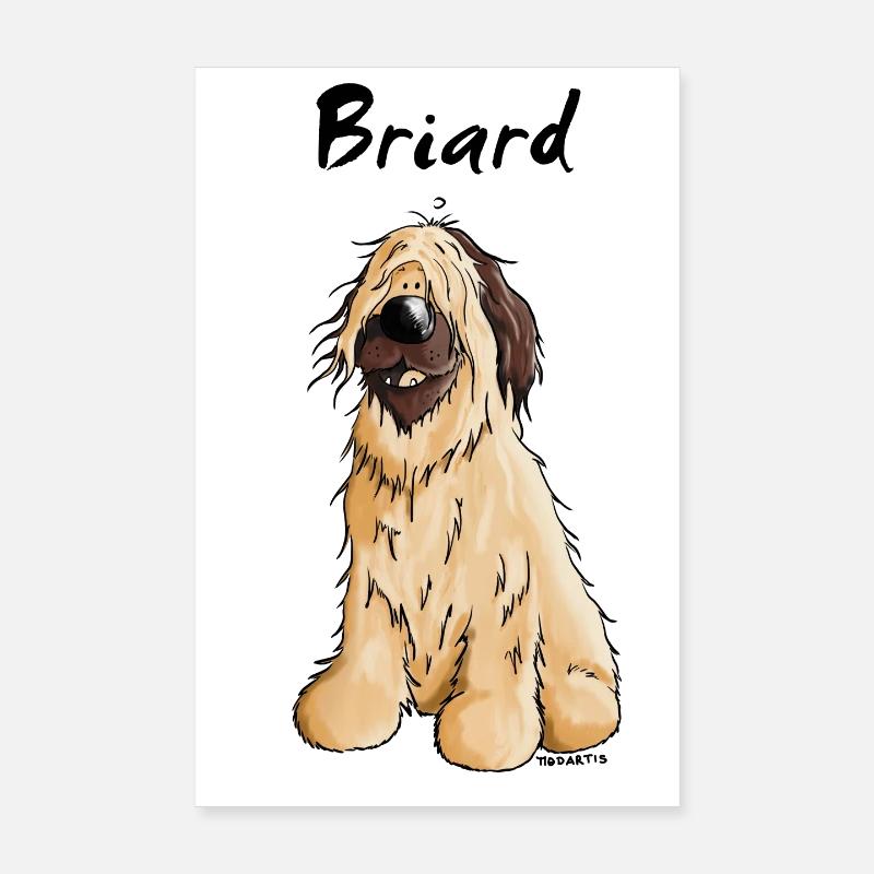 Knuffiger Briard - Hund - Hunderasse - Poster 20x30 cm - Weiß