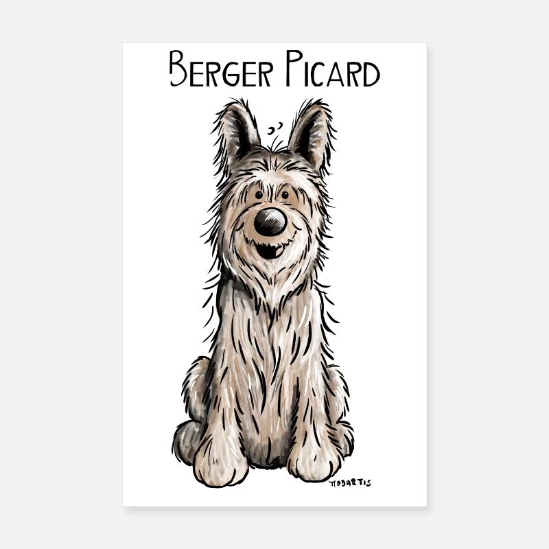 Berger Picard - Chien- Cadeau - Poster 20 x 30 cm - blanc