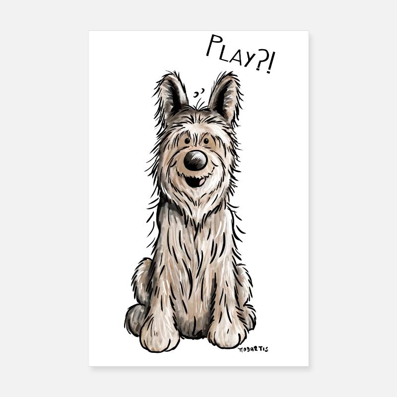 Berger Picard - Chien- Cadeau - Poster 20 x 30 cm - blanc