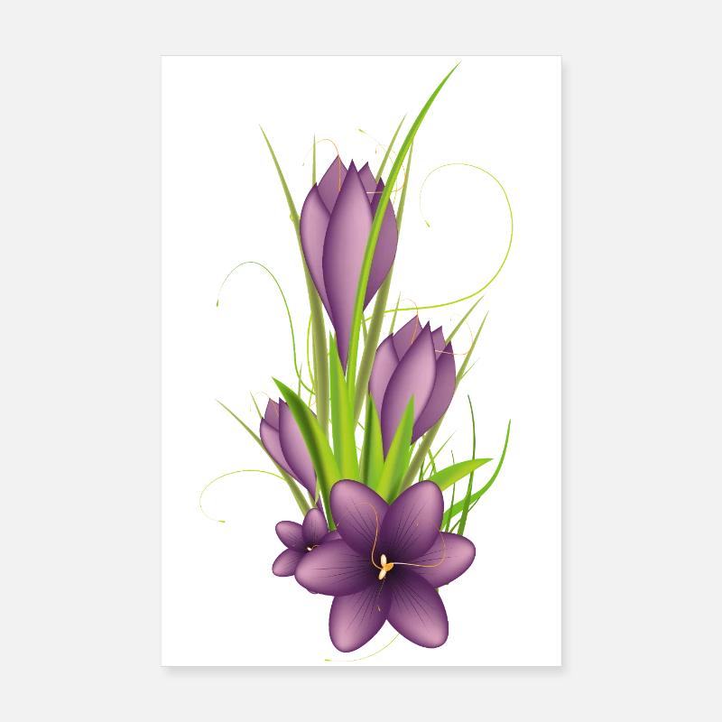 Des crocus violets délicats dans une illustration élégante Poster 20 x 30 cm
