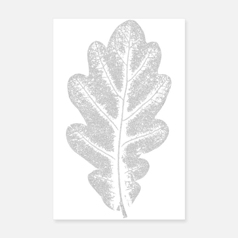 Feuille CHÊNE / feuille de chêne BLANC Poster 20 x 30 cm