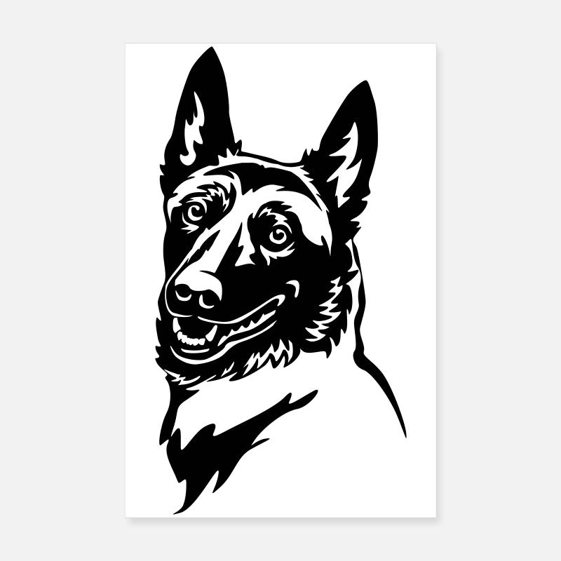 Tête malinois Poster 20 x 30 cm