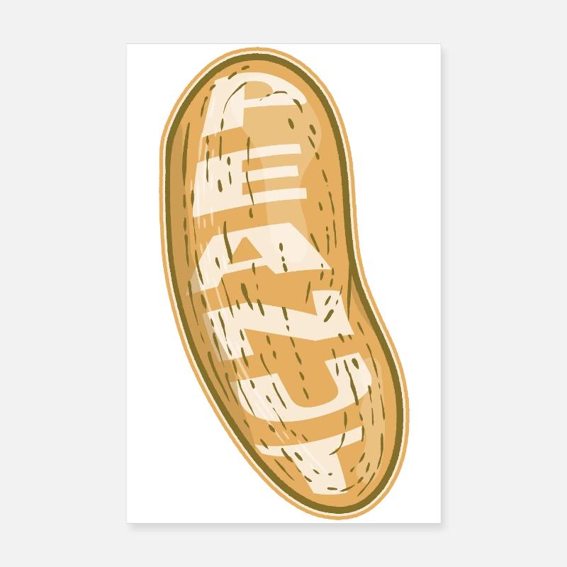 Peanut Poster 8" x 12" (20x30 cm)