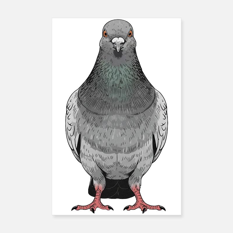 Taube - Poster 20x30 cm - Weiß