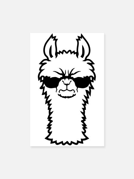 Lama Lunettes de soleil Angry Cool Furry Alpaga Sour - Poster 20 x 30 cm - blanc - Devant