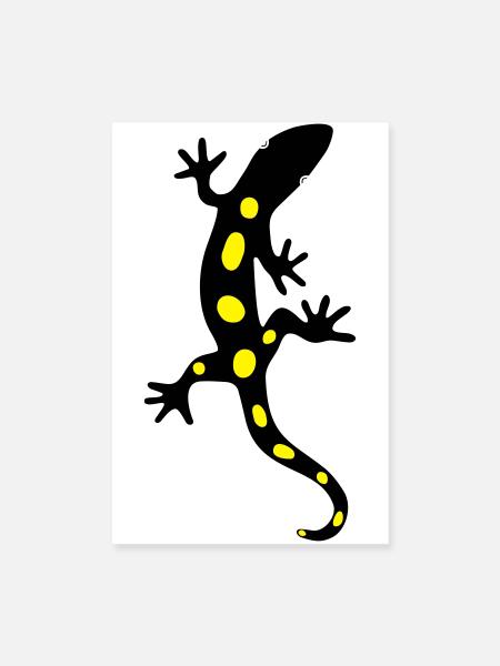 Eidechse Salamander Gecko Feuersalamander - Poster 20x30 cm - Weiß - Vorne