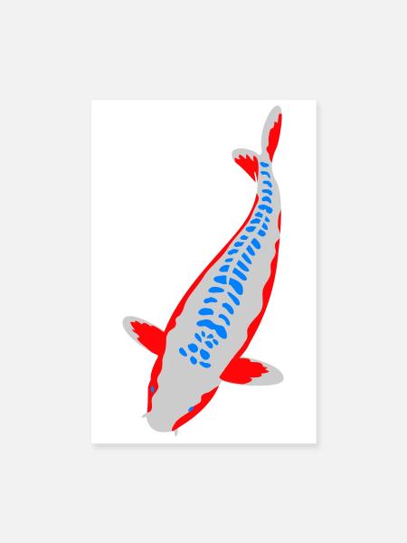 Koi - Nishikigoi - Poster 20 x 30 cm - blanc - Devant