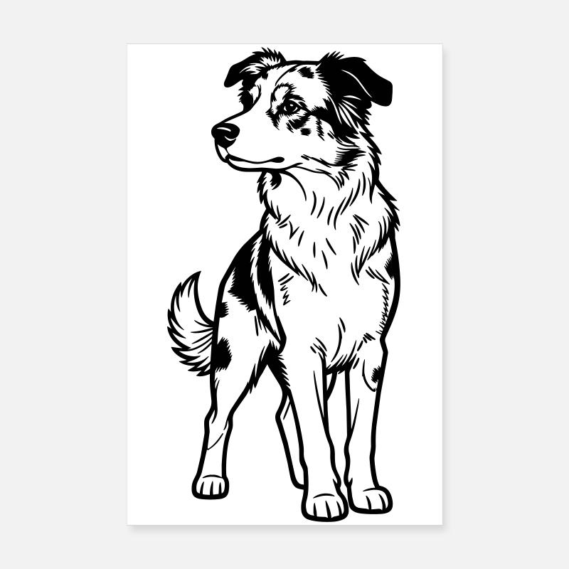 Berger australien Poster 20 x 30 cm