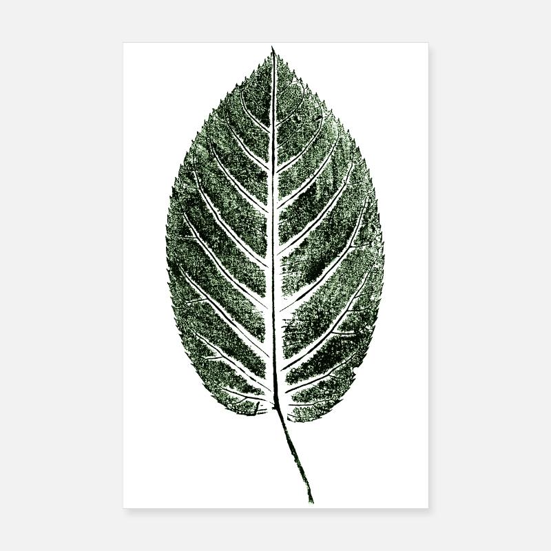 Beech Sheet / Leaf / GREEN Poster 8" x 12" (20x30 cm)