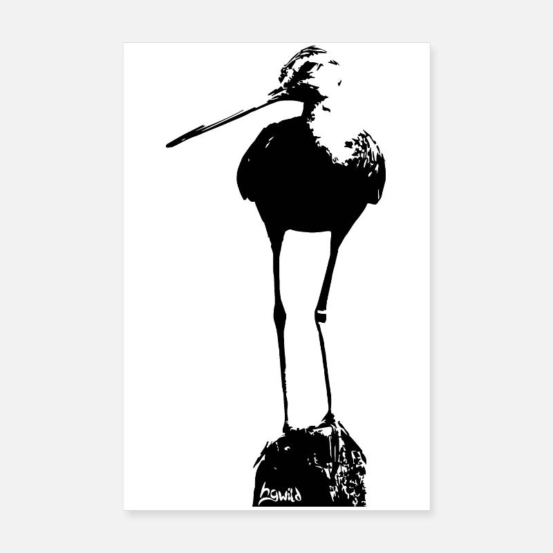 Uferschnepfe Poster 20x30 cm