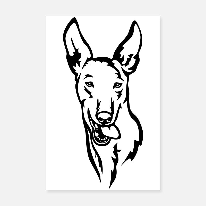 Tête Podenco - Poster 20 x 30 cm - blanc