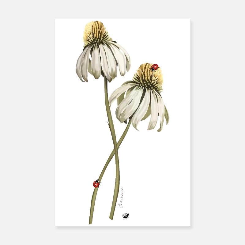 Illustration de la fleur des coccinelles rouges sur échinacée Poster 20 x 30 cm