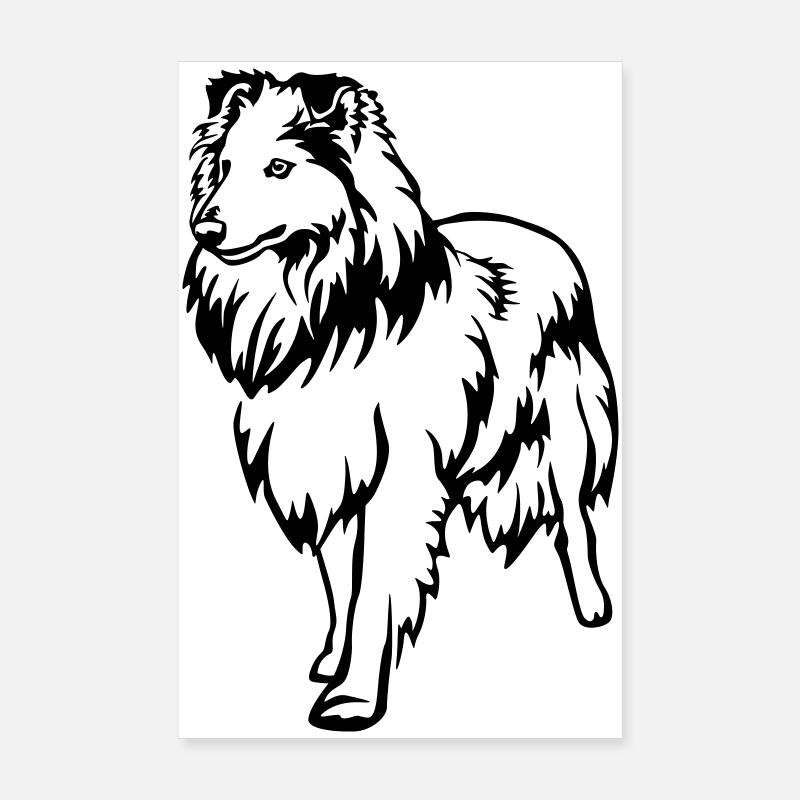 Sheltie Poster 20x30 cm