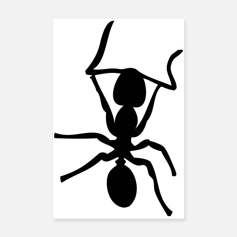 Fourmis - Insectes - Fourmis Poster 20 x 30 cm