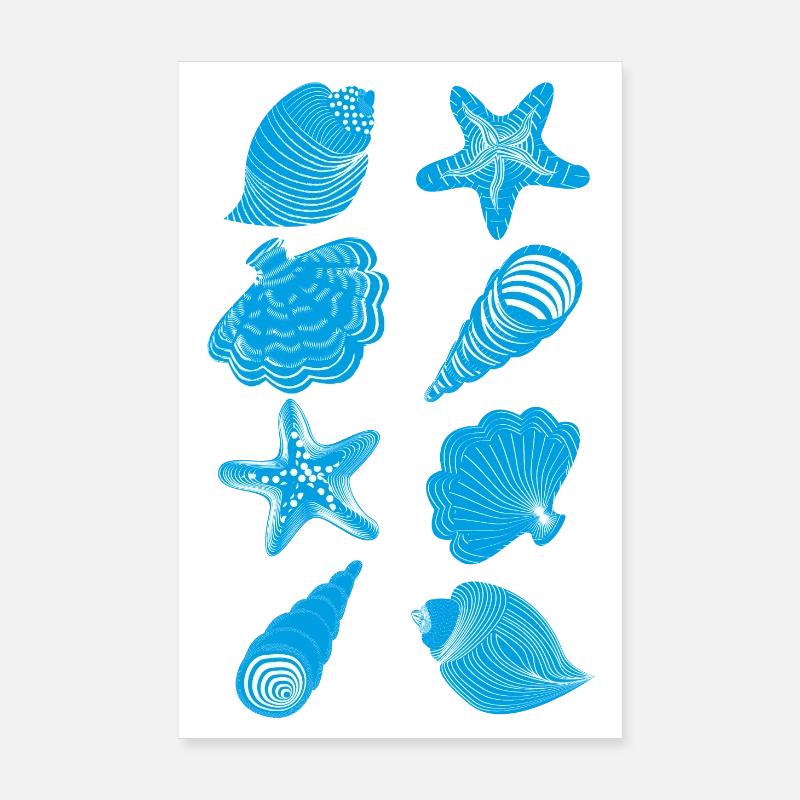 Shells and starfish Poster 8" x 12" (20x30 cm)