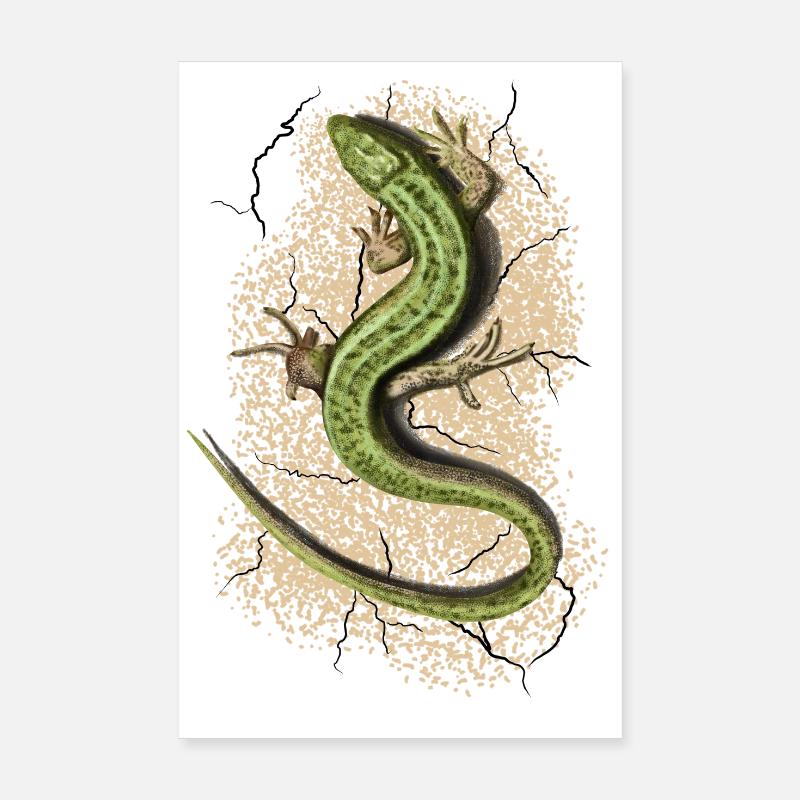 Eidechse - Poster 20x30 cm - Weiß