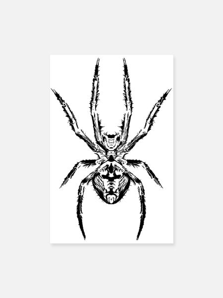 Spinnen kraft Das Symbol für Stärke und Geheimnis - Poster 20x30 cm - Weiß - Vorne