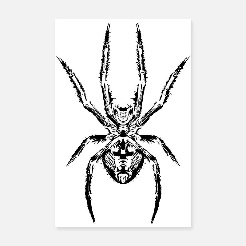 Spider power The symbol of strength and mystery Poster 8" x 12" (20x30 cm)