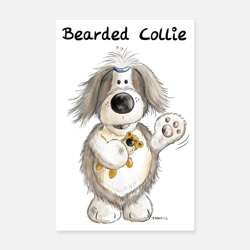 Bearded Collie With Teddy - Poster 8" x 12" (20x30 cm) - white