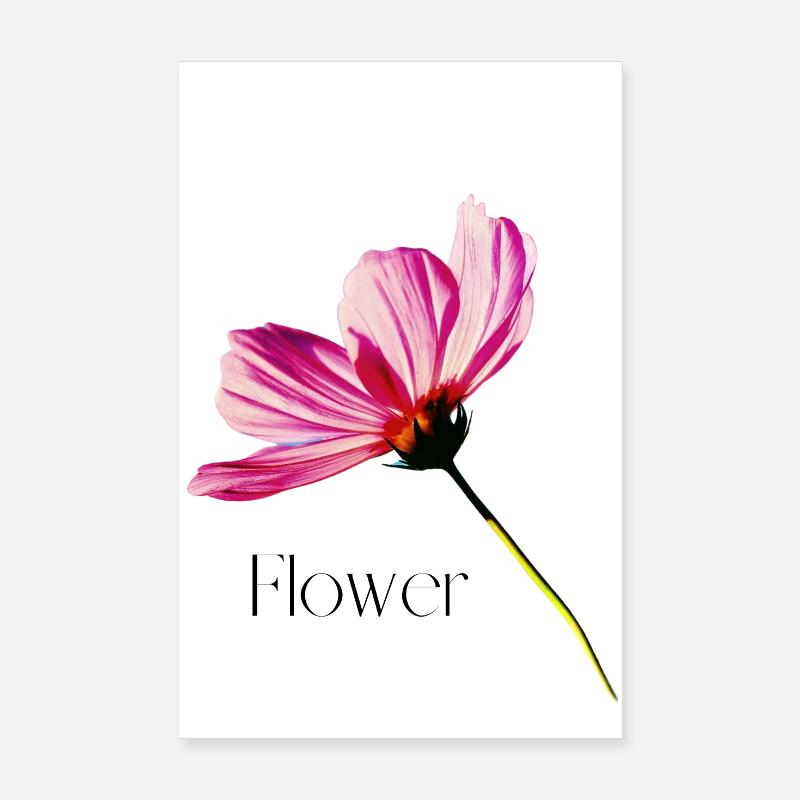 Blume Poster 20x30 cm