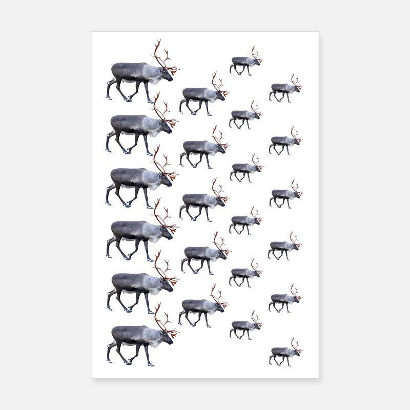 Reindeer Poster 8" x 12" (20x30 cm)