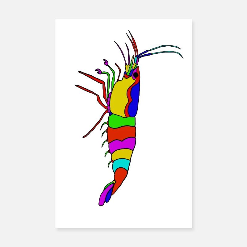Colorful shrimp panorama Poster 8" x 12" (20x30 cm)