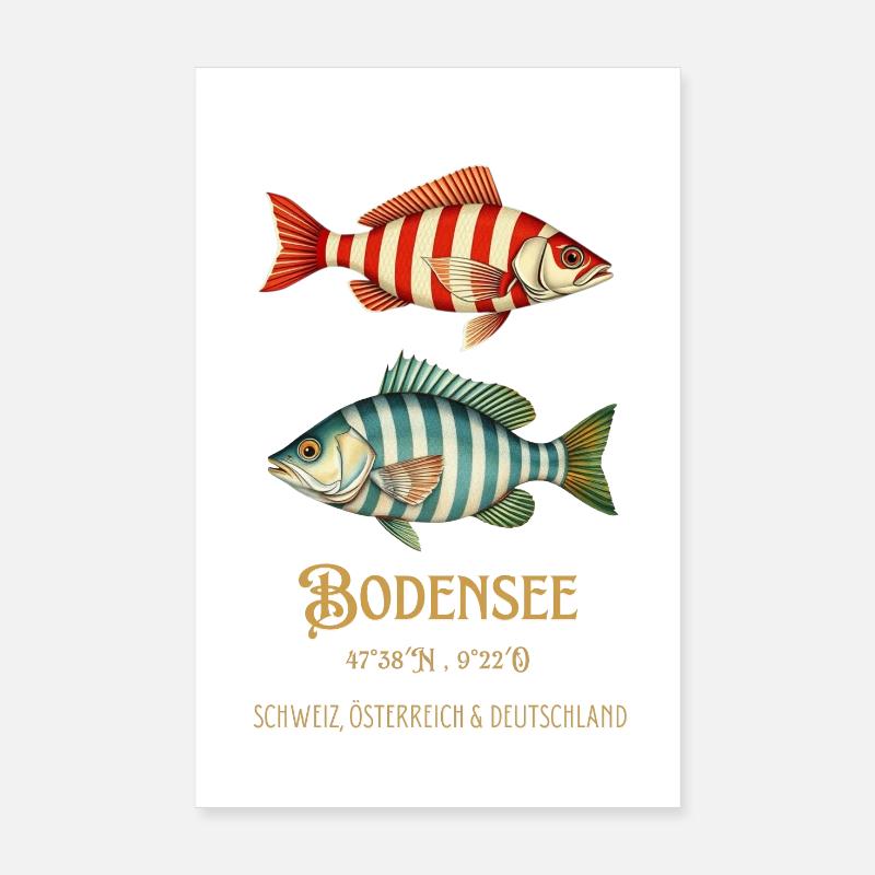 Lac de Constance Lac de Constance Poissons Coordonnées Poster 20 x 30 cm