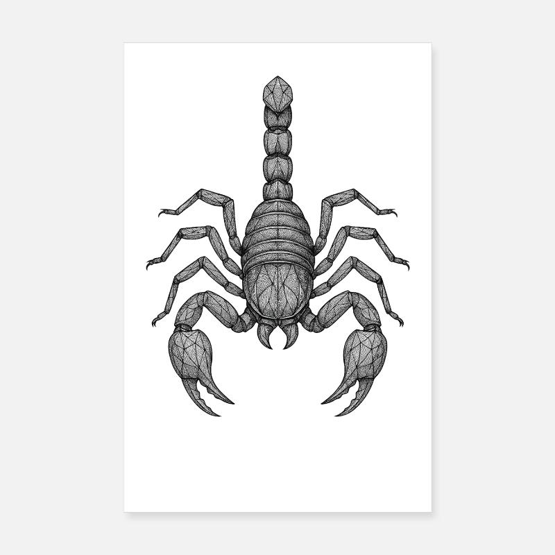 Geometric Scorpio Line Art Poster 8" x 12" (20x30 cm)