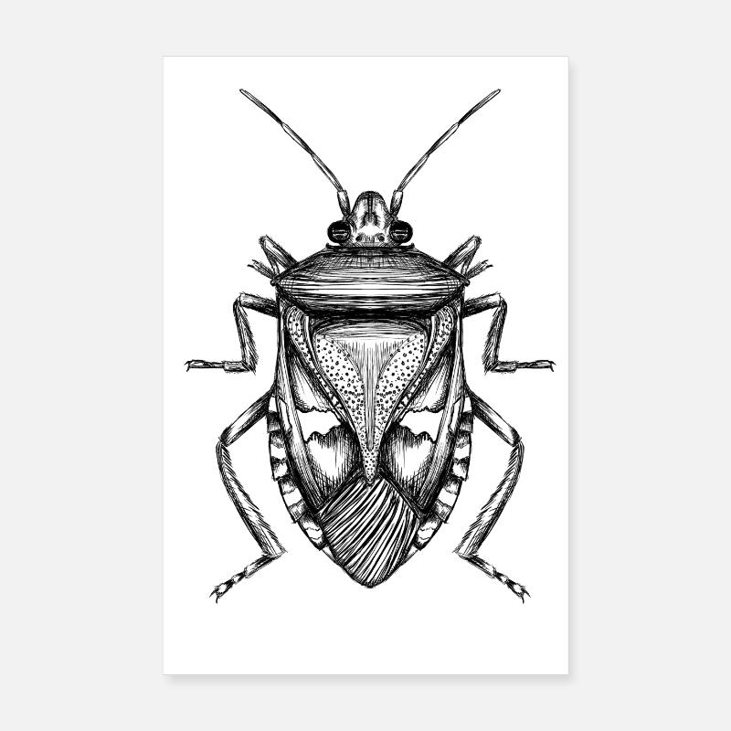 Bug Poster 8" x 12" (20x30 cm)