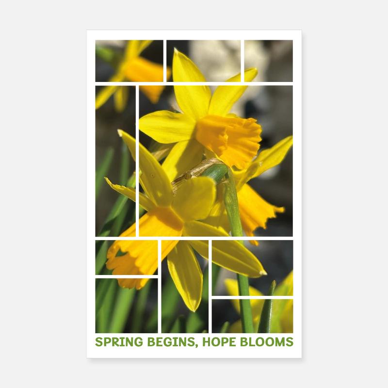 Le printemps commence, l’espoir fleurit – Daffodil Spring Desig Poster 20 x 30 cm