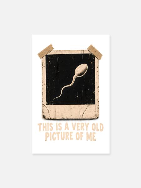 This Is A Very Old Picture Of Me Meme  - Poster 20x30 cm - Weiß - Vorne