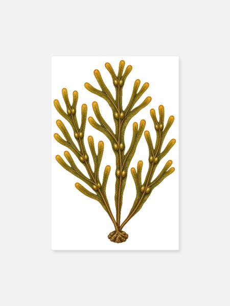 Blasenbruch in einer Gezeitenströmung - Poster 20x30 cm - Weiß