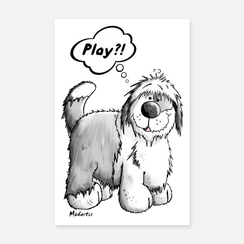 Playing Bobtail - Poster 20 x 30 cm - blanc