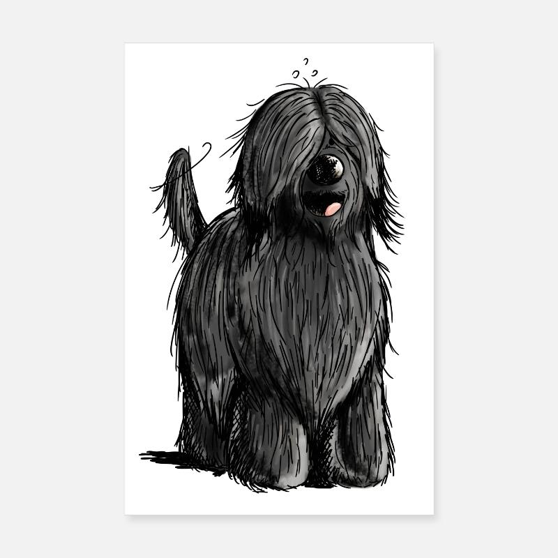 Knuffiger Briard - Berger de Brie - Briarden - Poster 20x30 cm - Weiß