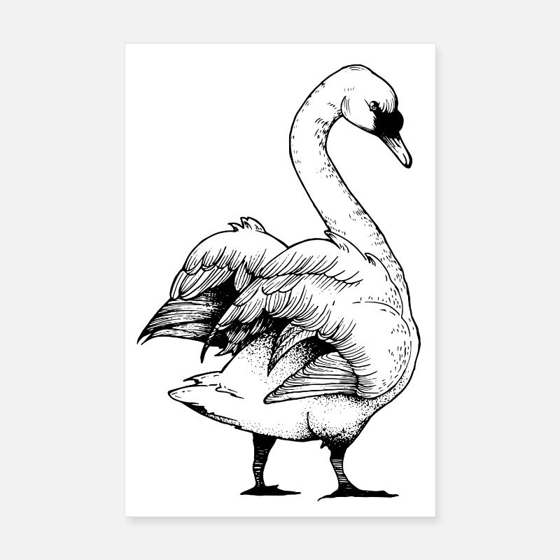 Schwan Poster 20x30 cm