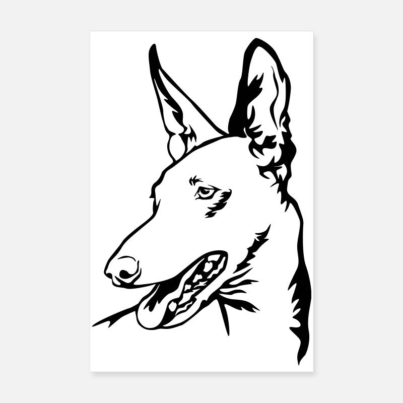 Podenco head Poster 8" x 12" (20x30 cm)